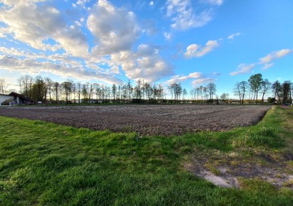 działka na sprzedaż - Chybie