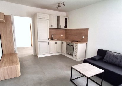 mieszkanie na wynajem - Żory