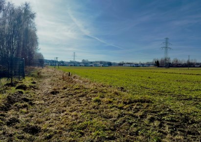 działka na sprzedaż - Żory, Folwarki