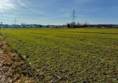 działka na sprzedaż - Żory, Folwarki