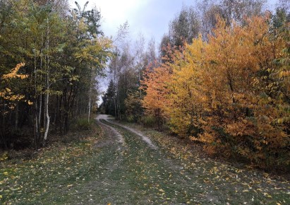 działka na sprzedaż - Zgierz (gw), Rosanów